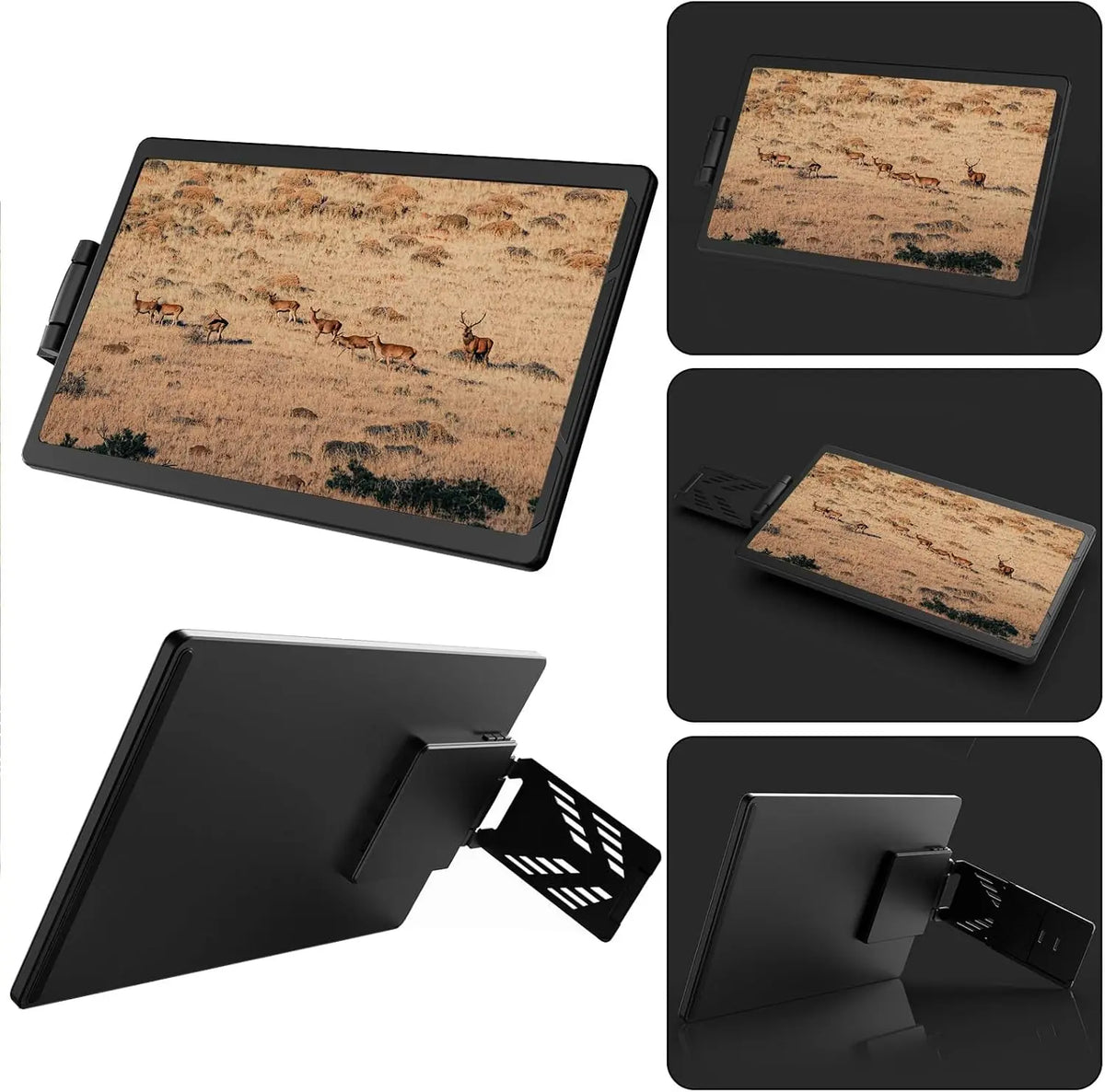 13.3-inch Portable Dual-Screen Monitor Extender with USB-C & HDMI